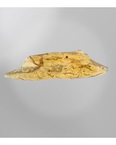Colombian Copal Amber — Pleistocene, Colombia
