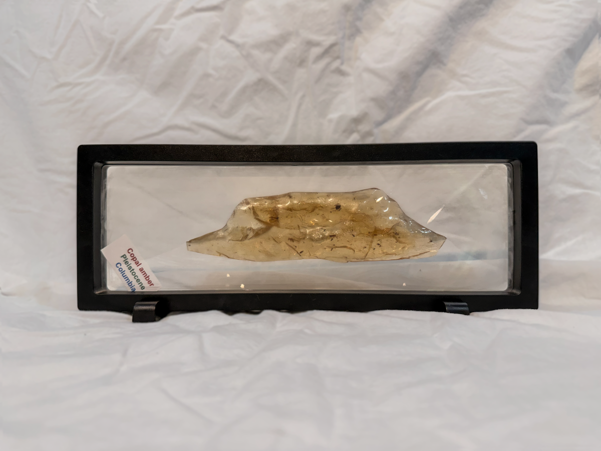 Colombian Copal Amber 